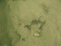 Scuba Table Rock 117